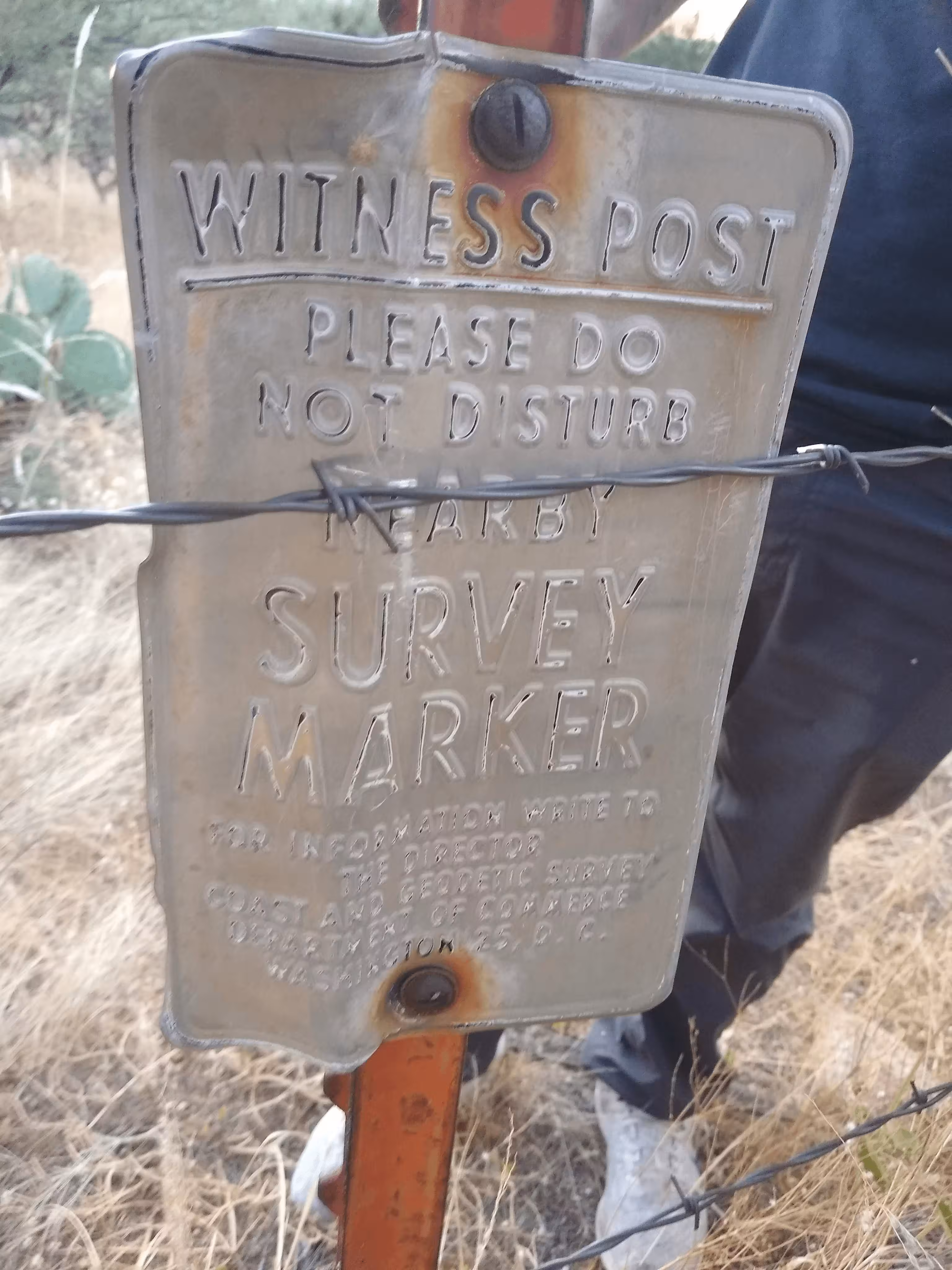 witness post