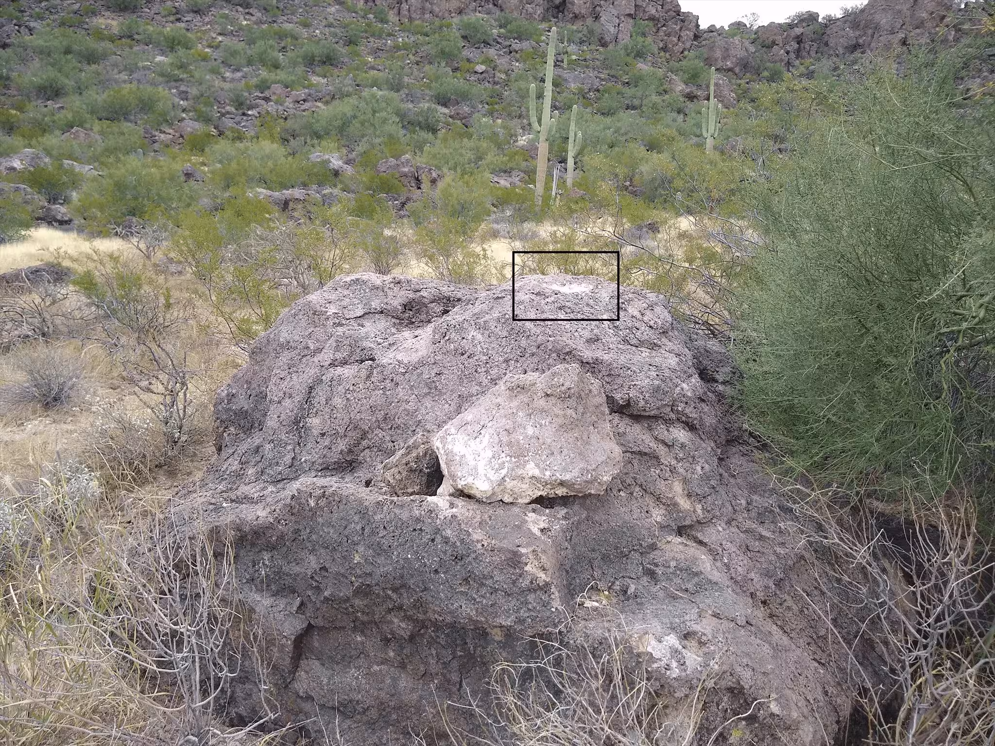 L 295 rock