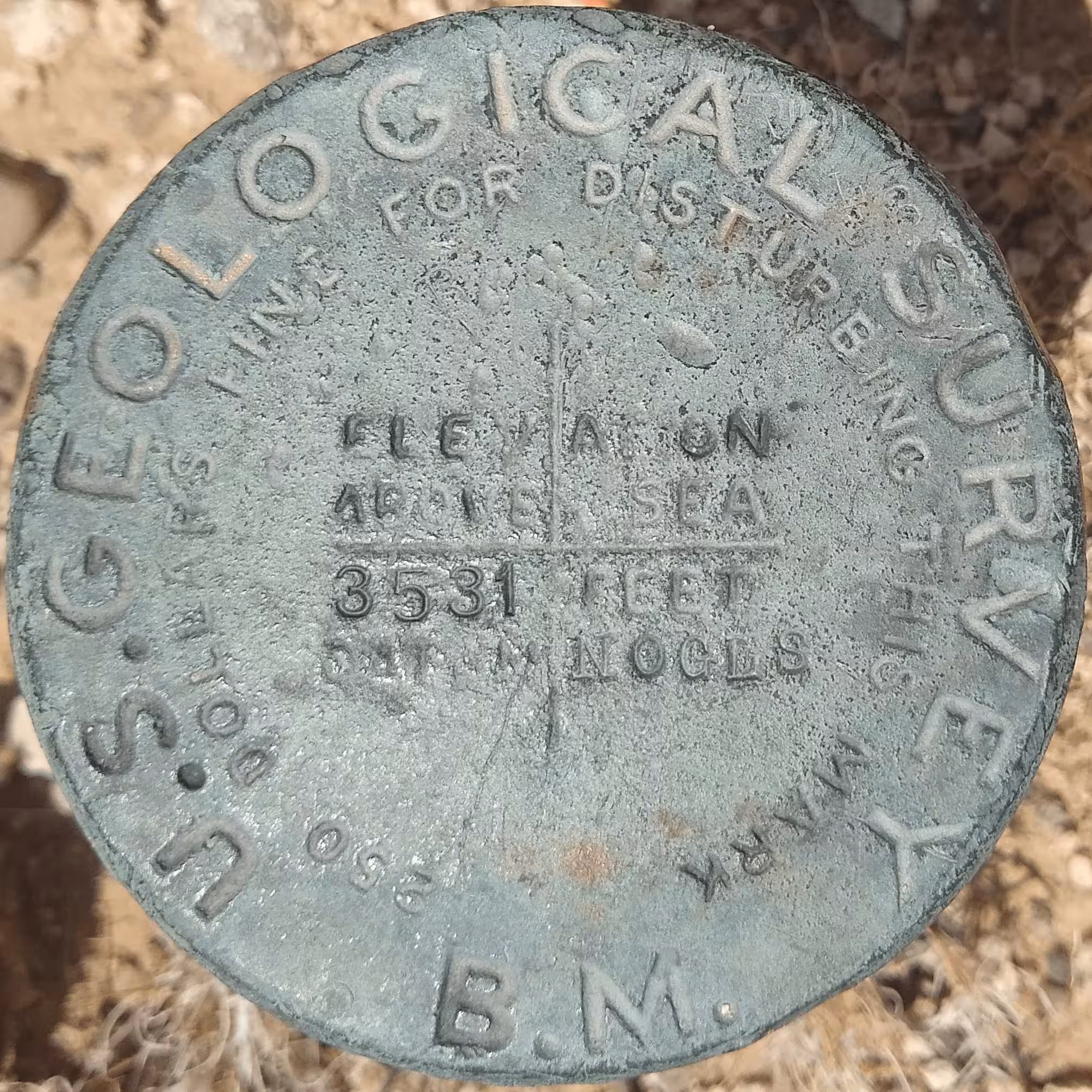 NOGLS 3531 disk