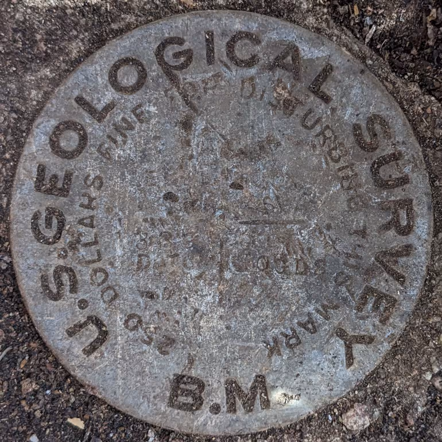 NOGLS 3891 disk
