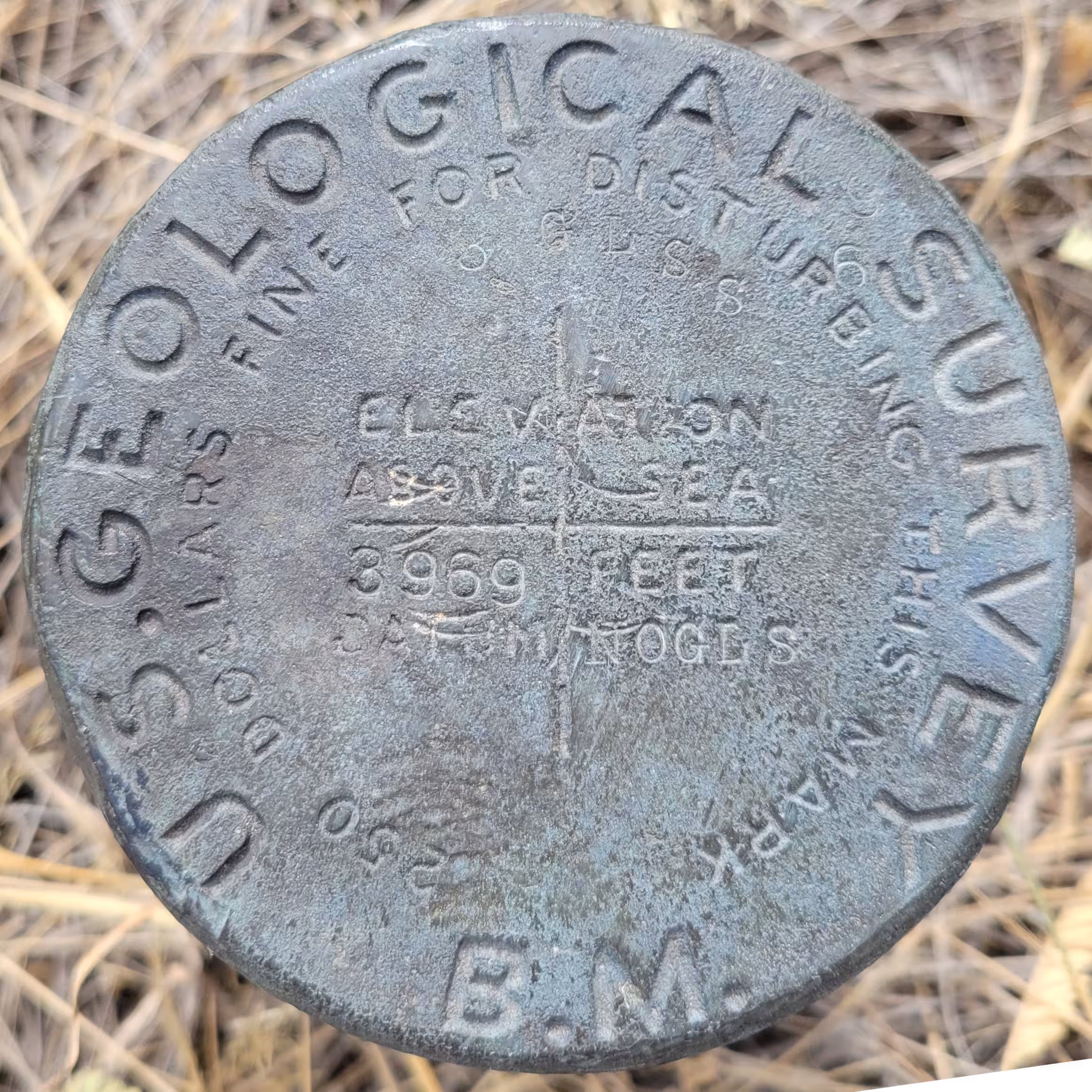 NOGLS 3969 disk
