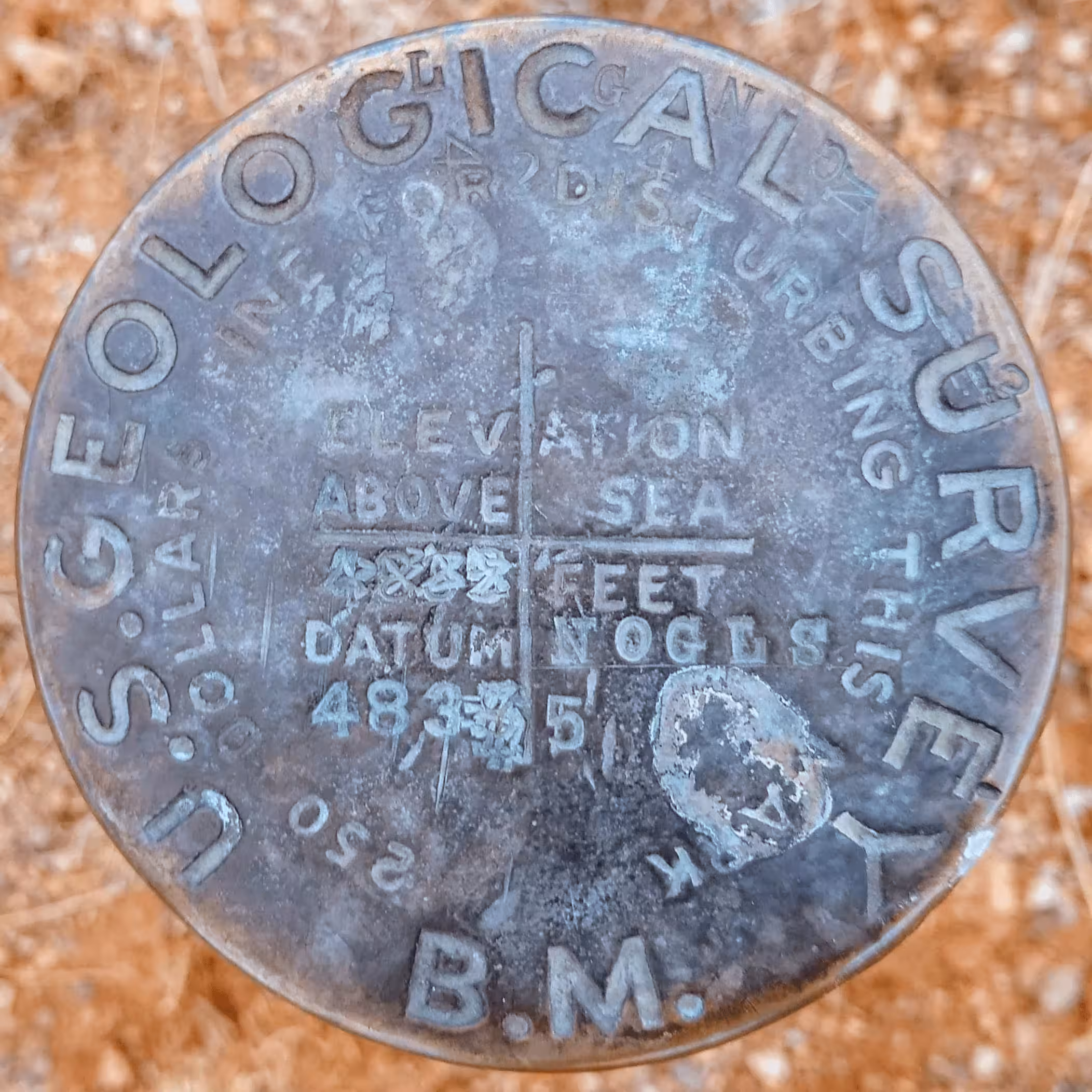 NOGLS 4835 disk