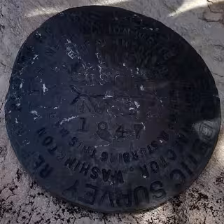 KELLOGG NO 1 disk