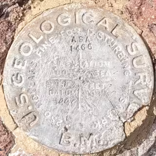NOGLS 5442 disk