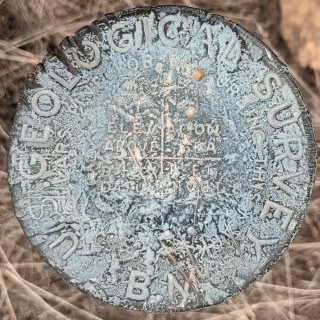 NOGLS 5496 disk