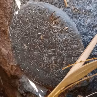SOTOL disk
