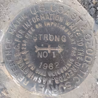 STRONG NO 1 disk